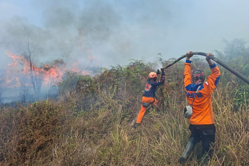 Karhutla di Poso Hanguskan 50 Hektare Lahan Gambut dan Kebun Warga, Api Belum Padam