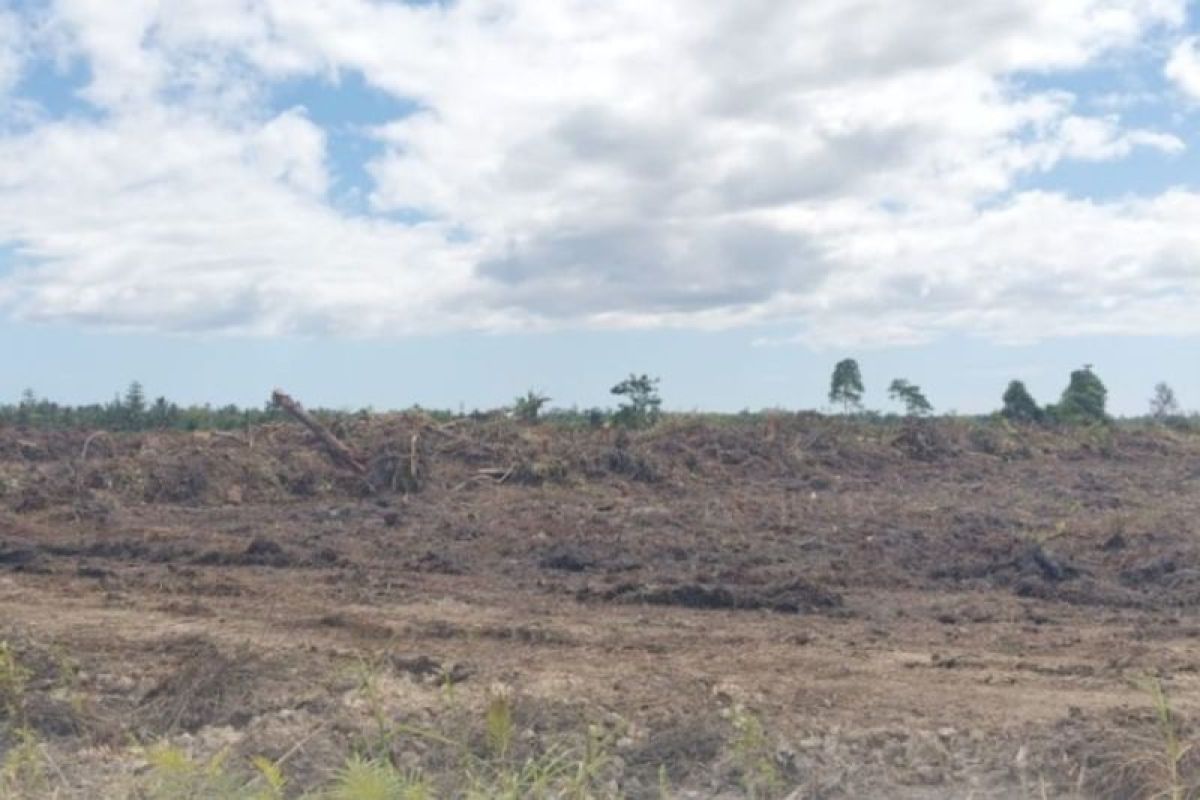 BBRMP Maluku Monitoring Cetak Sawah Rakyat di Seram Bagian Timur, Target Lahan 1.702 Hektare