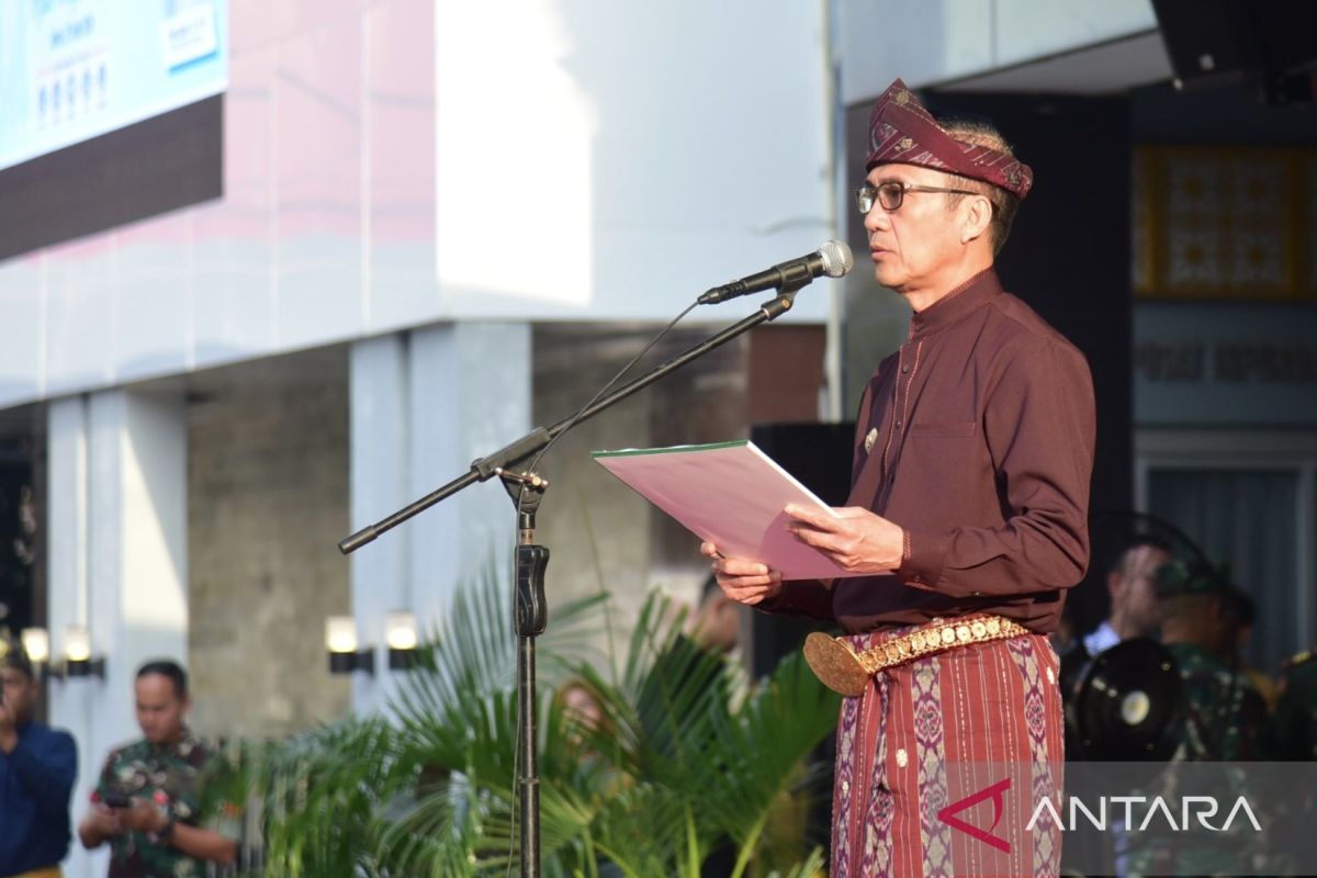 Wali Kota Palembang Ratu Dewa Minta Para Ayah Pahami Era Digital dan Perkuat Peran di Keluarga