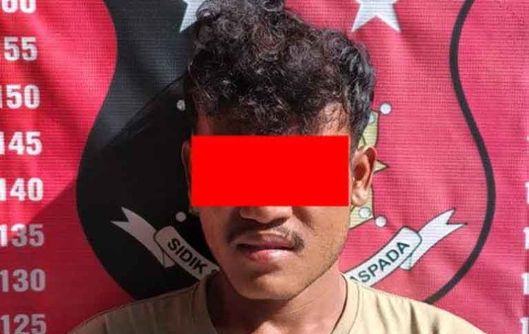 Polres Pesisir Barat Bekuk MR (24) Warga Pasar Krui, Curi Handphone VIVO Baru Korban di Pekon Kampung Jawa