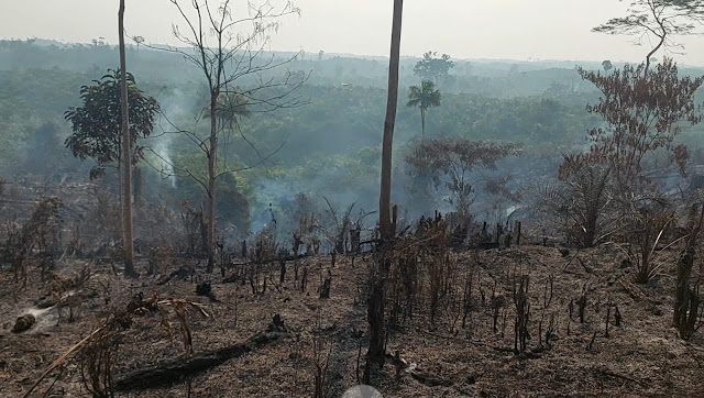 Karhutla di Tebo Kembali Muncul, Dua Titik Api di Lahan PT TAL dan PT ABT Masih Dalam Pendinginan