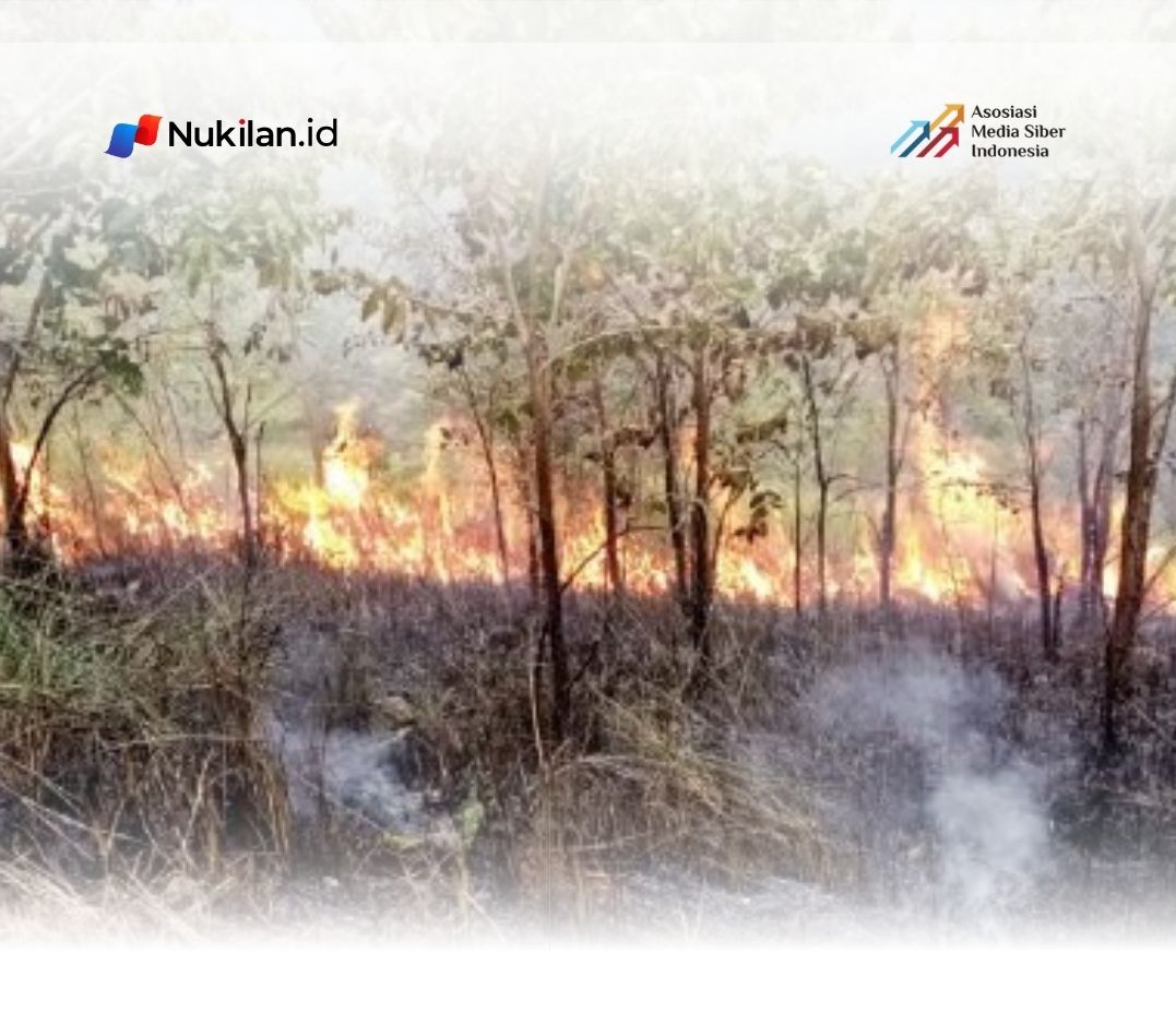 Karhutla 28 Hektare di Aceh Selatan Padam Total Setelah 10 Hari, Petugas Sempat Terkendala Sumber Air