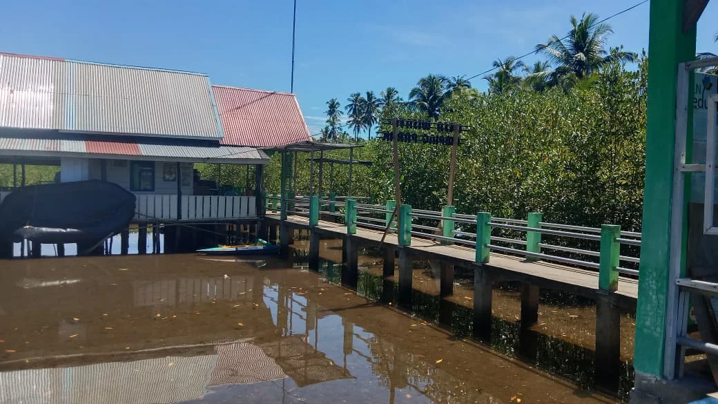 Jurnalis Lingkungan Hidup Tanam Mangrove dan Lepas Tukik di Pesisir Selatan untuk Peringati Hari Mangrove Sedunia 2026