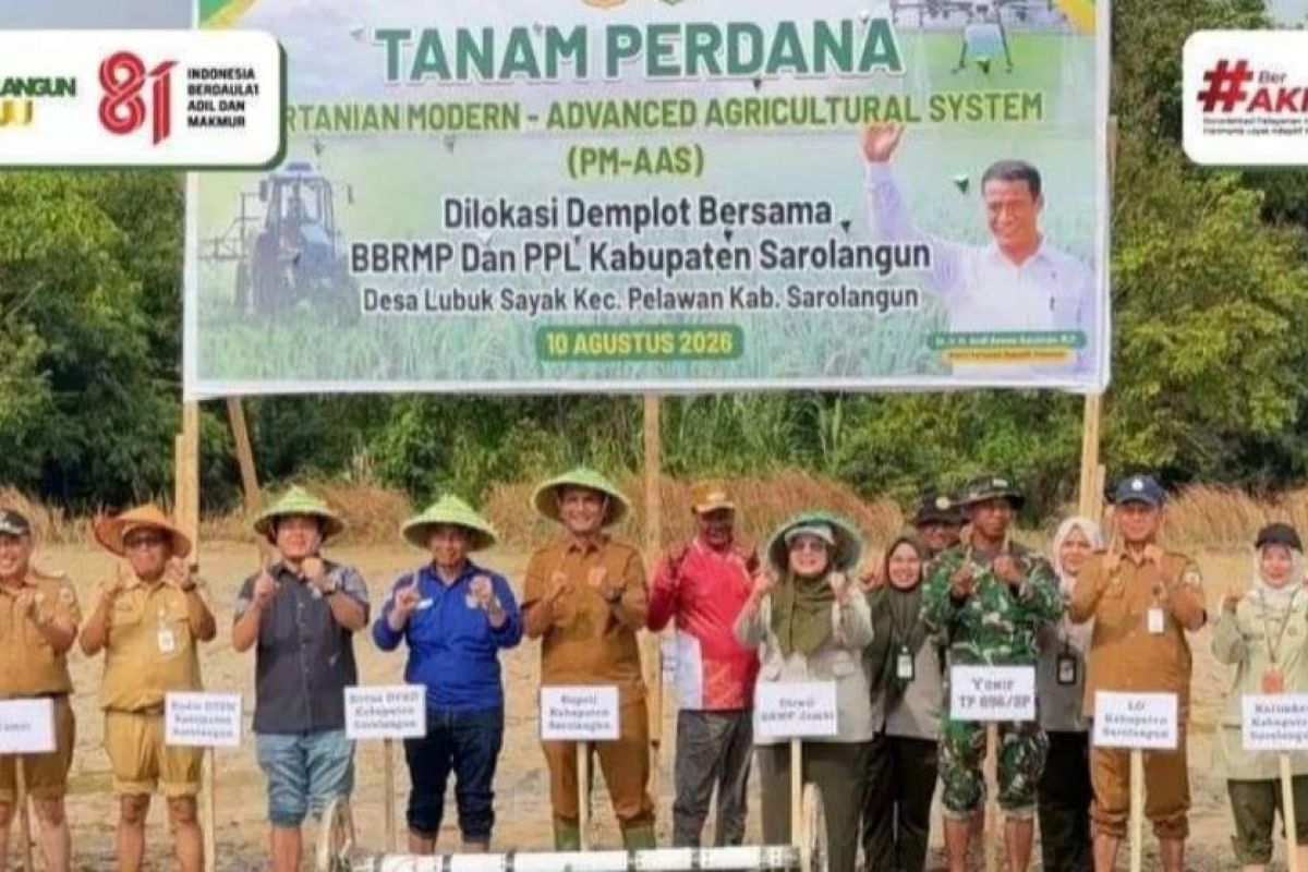 Bupati Sarolangun Tanam Padi Perdana Sistem Pertanian Modern, Target Produktivitas Tembus 10 Ton Per Hektare