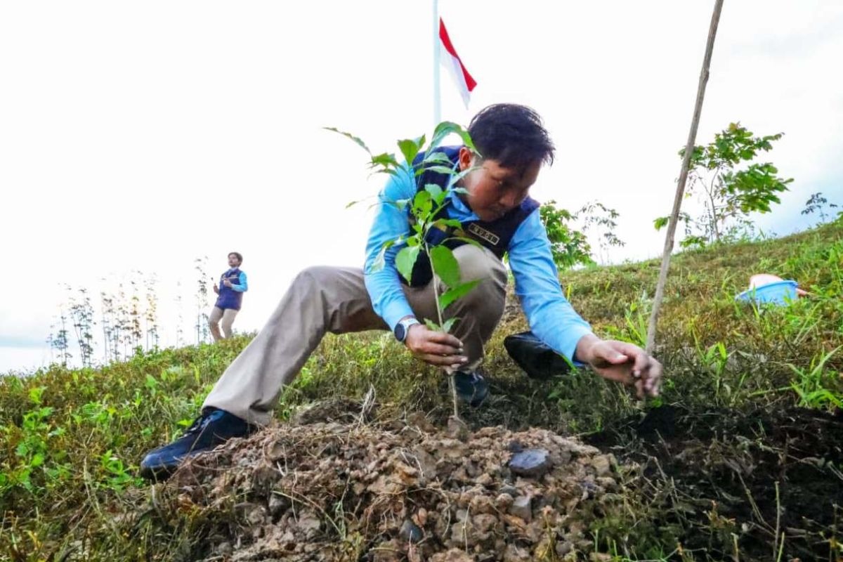 OIKN dan Kemenhut Rehabilitasi Lahan Eks-Tambang di Tahura Bukit Soeharto Jadi Hutan Produktif dan Penyangga IKN