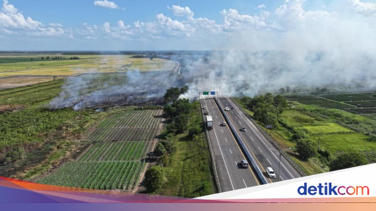 Karhutla di Ogan Ilir Meluas ke Tiga Titik, Satu di Samping Tol Palindra, Tim Gabungan Berjibaku Padamkan Api