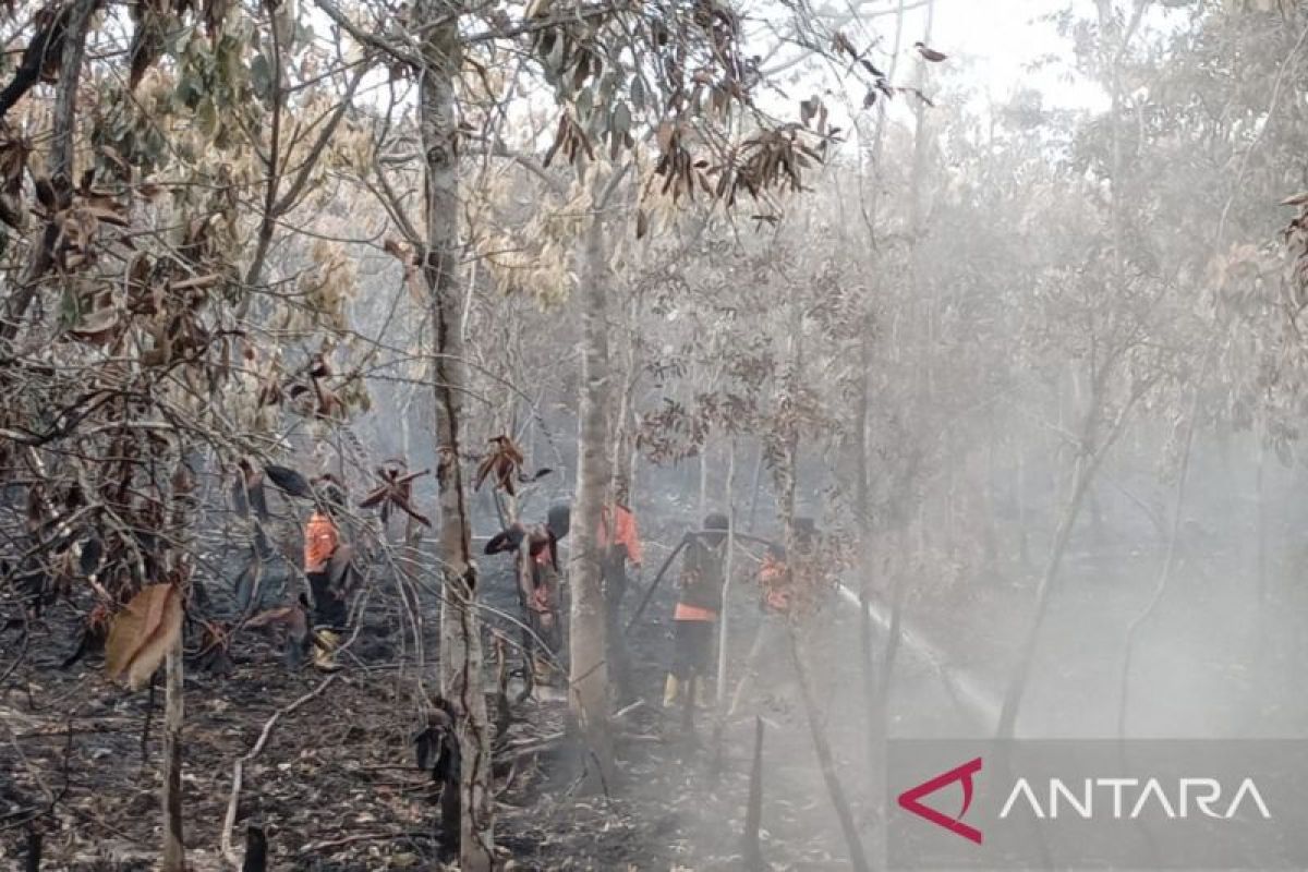 Karhutla di Sungai Rotan Muara Enim Meluas Jadi 8,5 Hektare, Water Bombing Dikerahkan Padamkan Titik Api
