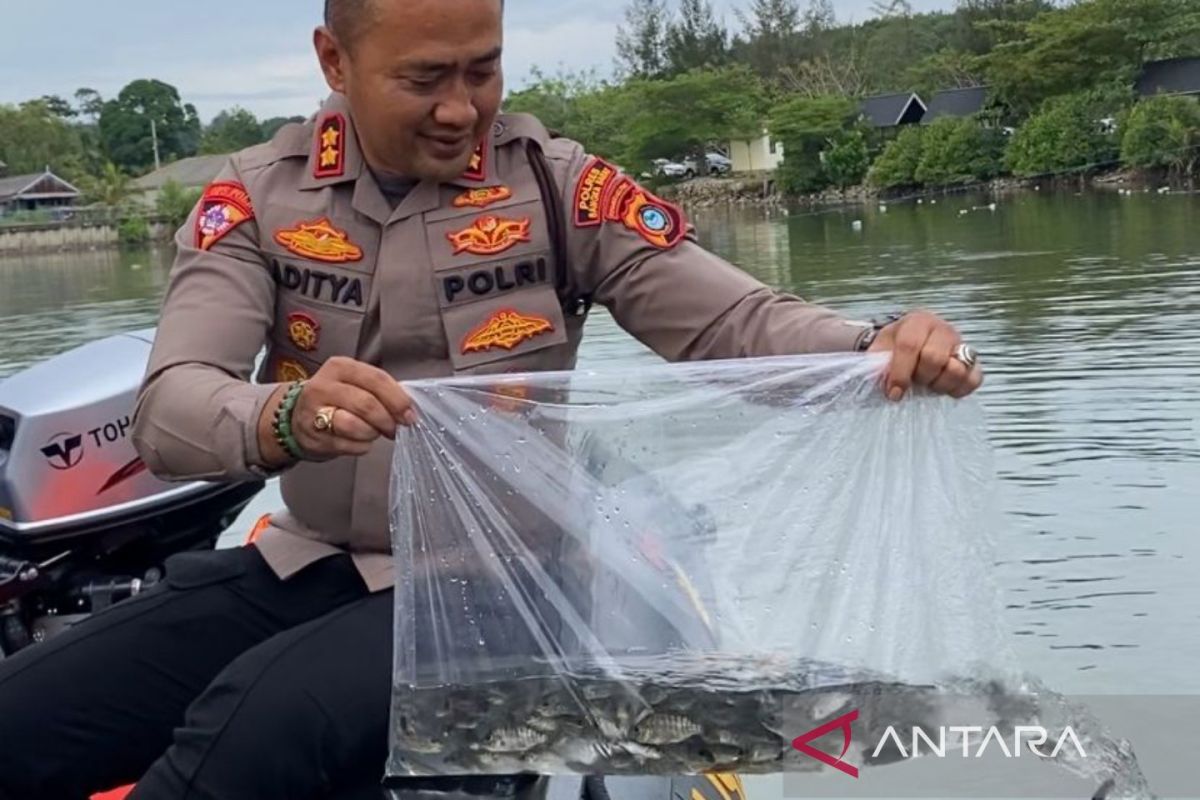 Polres Bangka Barat Tebar 5.000 Benih Nila Air Payau di Kolam Retensi Mentok, Target Ketahanan Pangan Pesisir
