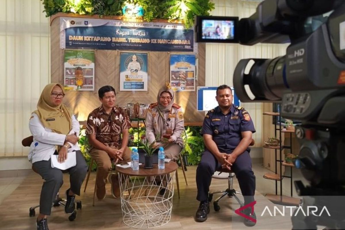 Karantina Babel Gencarkan Gerakan UMKM Go Ekspor, Daun Ketapang hingga Lada Putih Tembus Pasar AS dan Eropa