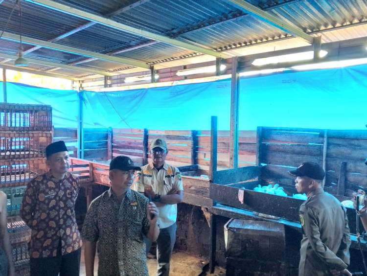 Warga Padang Nangka Bengkulu Keluhkan Usaha Bubut Ayam 24 Jam, Satpol PP Turun ke Lokasi