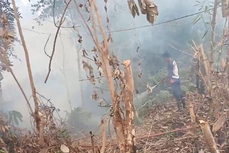 Karhutla Kobar Meluas ke 2.418 Hektare, Kabut Asap Batalkan 3 Penerbangan di Bandara Iskandar