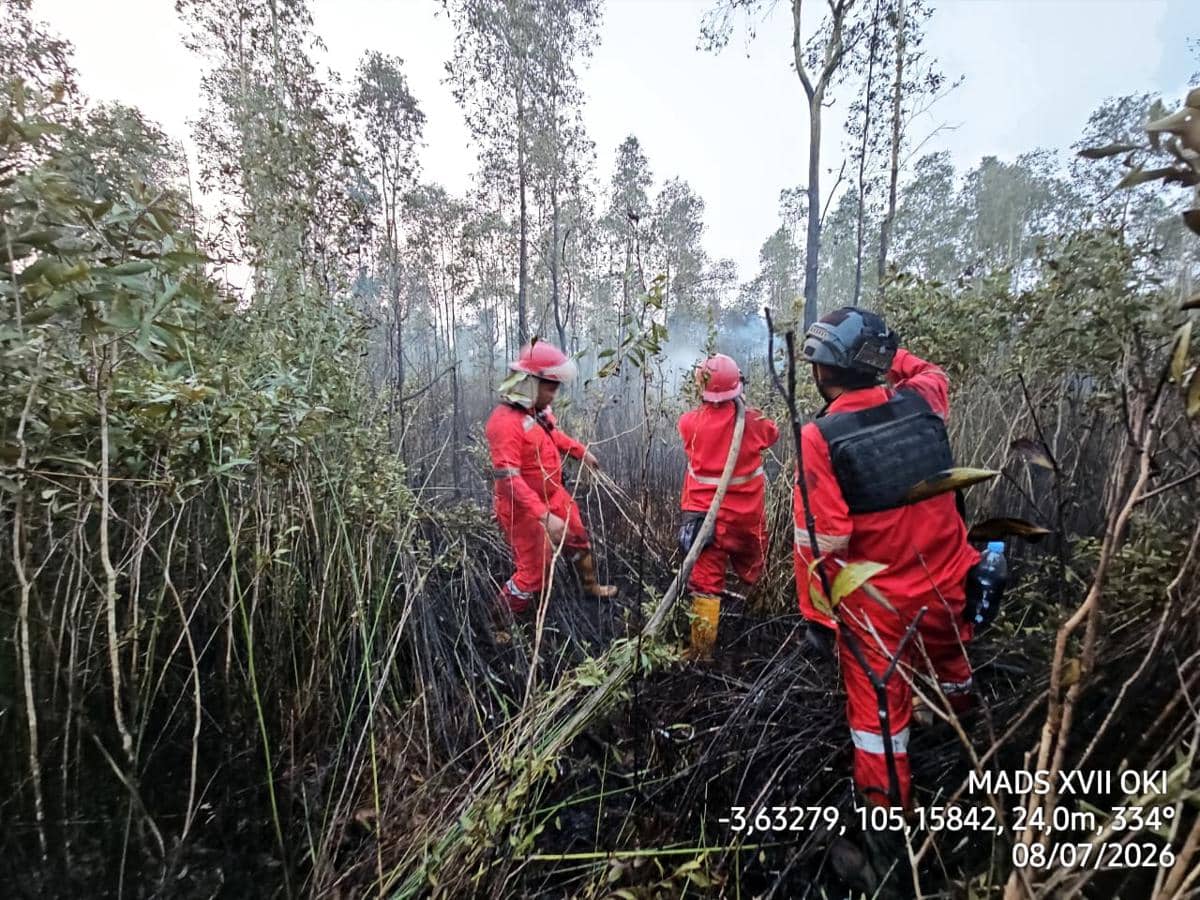 Cuaca Cerah 7 Hari di Sumsel, BMKG Beri Peringatan Dini Karhutla untuk 5 Wilayah Ini