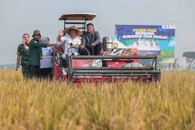 Produksi Padi Jateng Capai 6,69 Juta Ton, Pemprov Siapkan Antisipasi Musim Kemarau Panjang