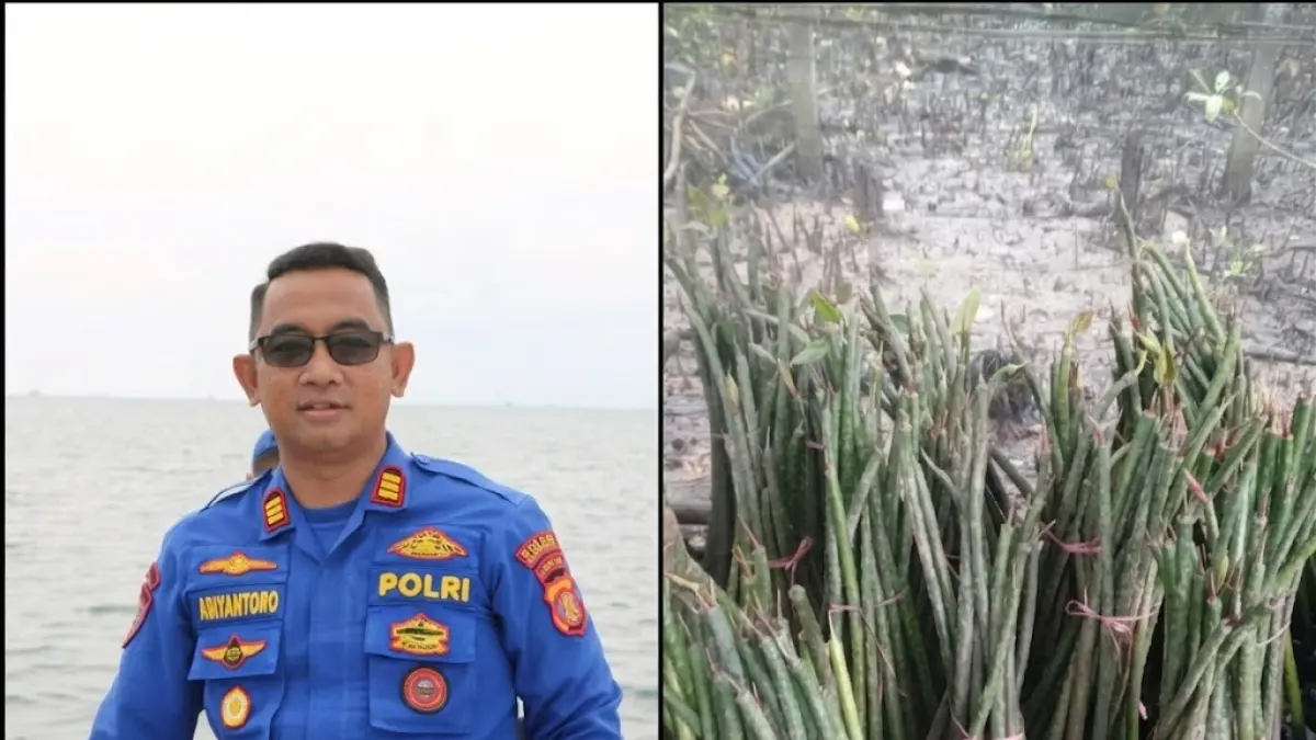 Polres PPU Tanam 1.000 Bibit Mangrove di Tiga Kawasan Pesisir, Peringati Hari Bhayangkara ke-80 Tahun 2026