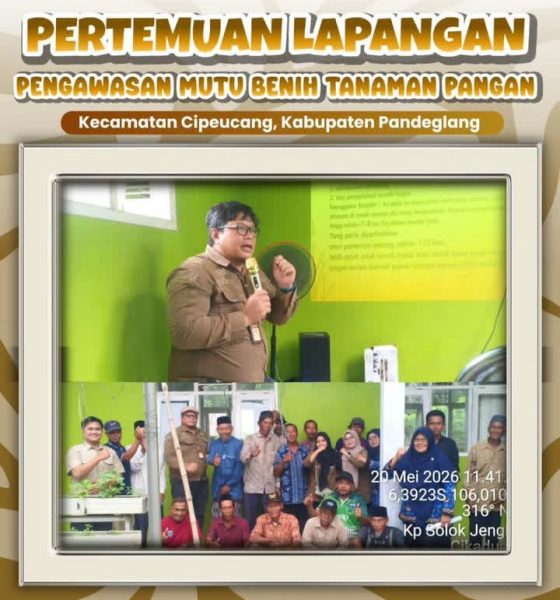 Dinas Pertanian Banten Perkuat Pengawasan Benih dan Intensifikasi Padi di Pandeglang, Tiga Kelompok Tani Dapat Bantuan