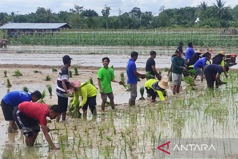 Cara Membuat SIM Baru Secara Online Lewat Aplikasi Digital Korlantas Polri