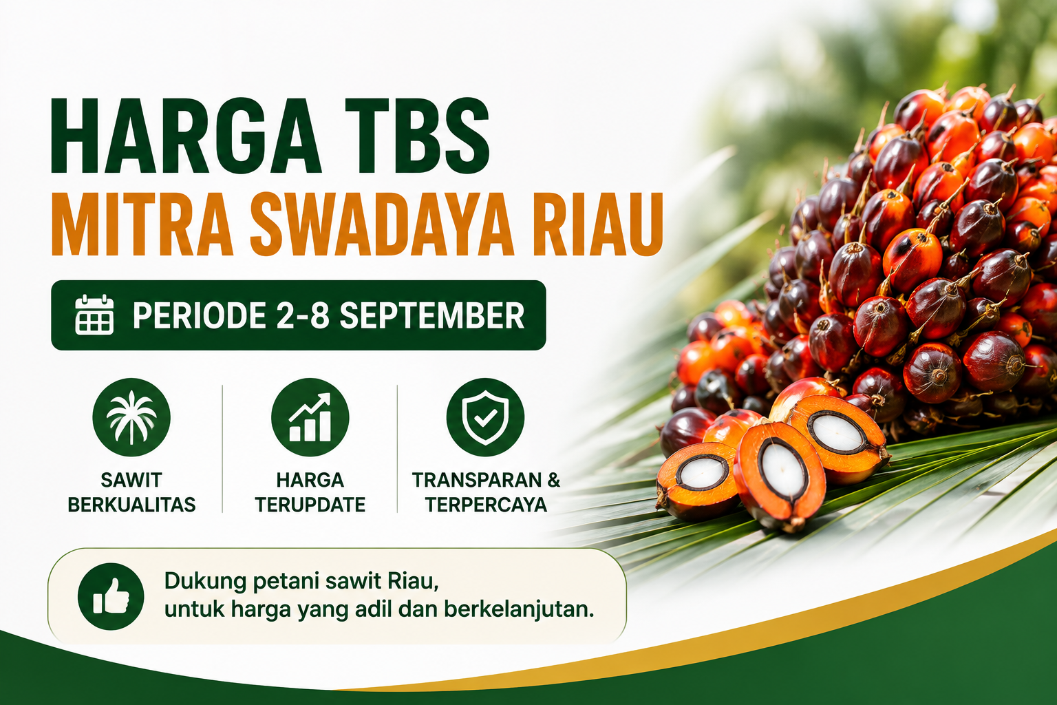 Harga TBS Sawit Riau Naik di Semua Kelompok Umur, Periode 2-8 September 2026