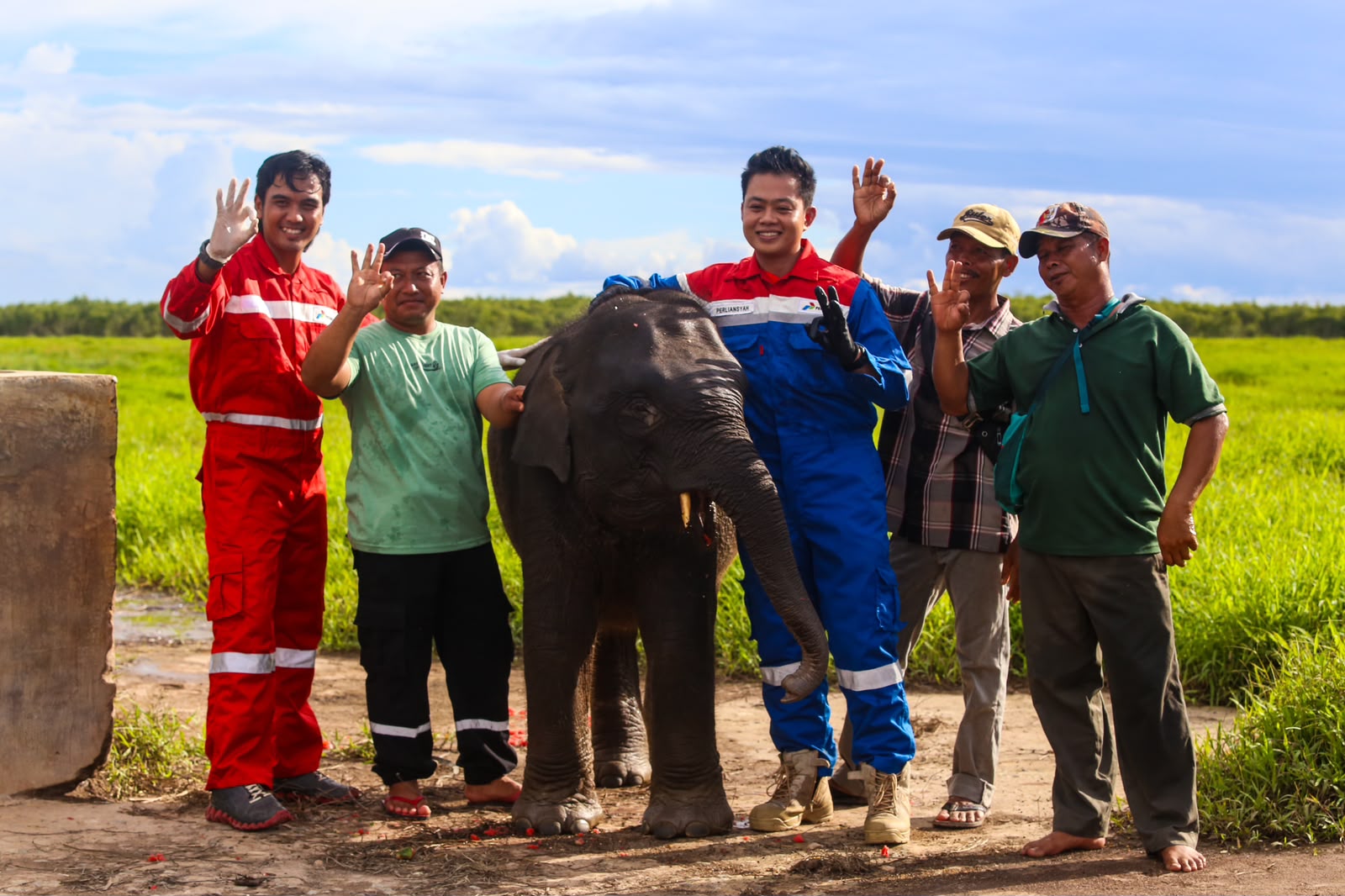 Kilang Plaju Sumsel Dukung Konservasi 28 Gajah Sumatera di Suaka Margasatwa Padang Sugihan Sejak 2018