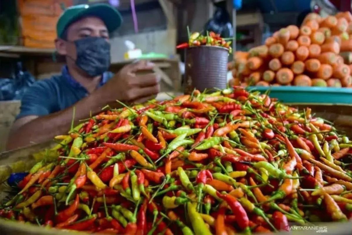 Inflasi Tahunan Maluku Juli 2026 Terjaga di 2,75 Persen, Harga Ikan Layang dan Selar Turun Picu Deflasi Bulanan