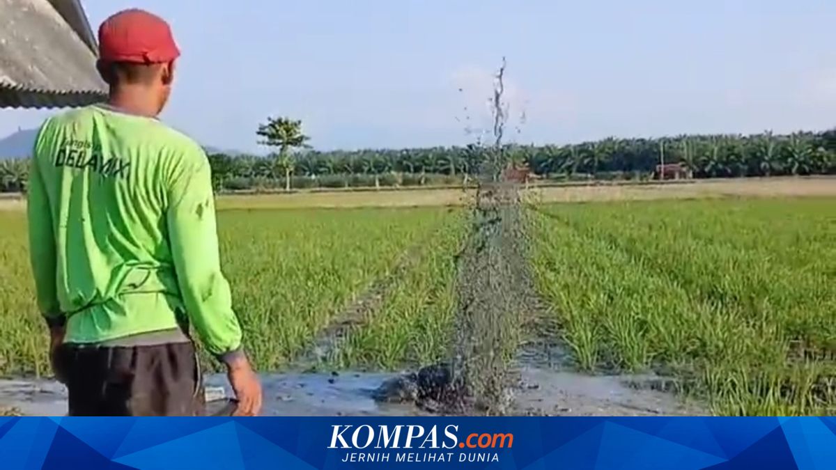 Semburan Air Bertekanan Tinggi Muncul Saat Warga Gali Sumur di Mamuju Tengah, Warga Gotong Royong Tutup Lubang