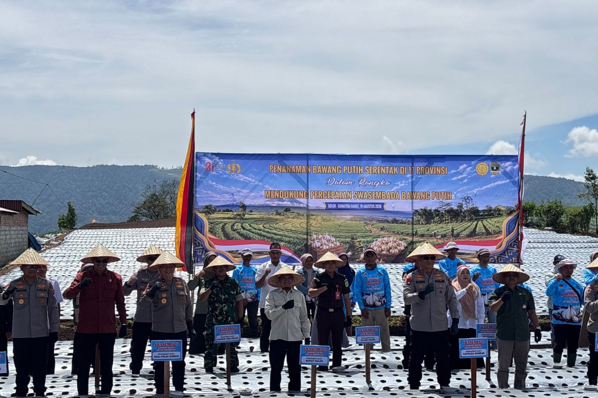 Pemkab Solok Perluas Lahan Bawang Putih di Danau Kembar, Target Kurangi Impor Nasional