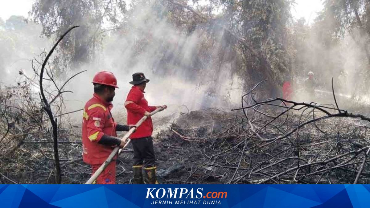 Karhutla di Aceh Selatan Meluas hingga 25 Hektare pada Hari Ketiga, Api Terus Menjalar di Lahan Gambut