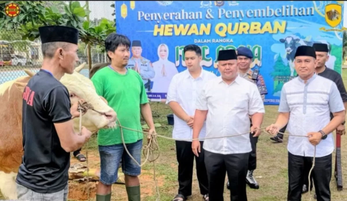 Satbrimob Polda Jambi Tebar 25 Ekor Sapi Kurban Idul Adha 1447 H, 1.909 Warga di 6 Wilayah Terima Daging