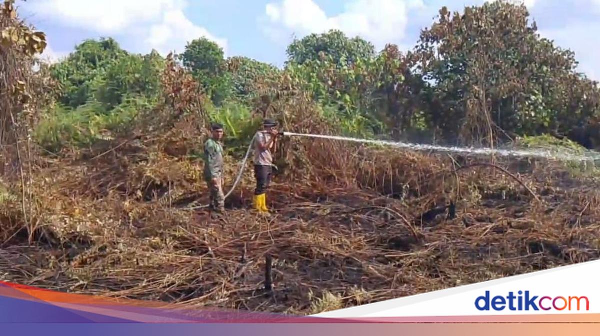 Kebakaran Lahan Gambut di Muaro Jambi Meluas, Tim Satgas Karhutla Fokus Lakukan Pendinginan Bawah Tanah