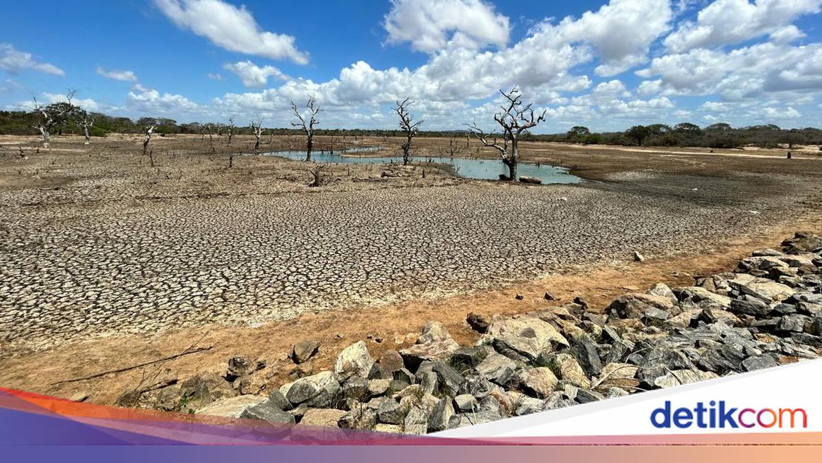 800 KK di Desa Pasar Pino Bengkulu Selatan Krisis Air Bersih, Sumur Mengering Sebulan hingga Warga Mandi di Sungai Tercemar