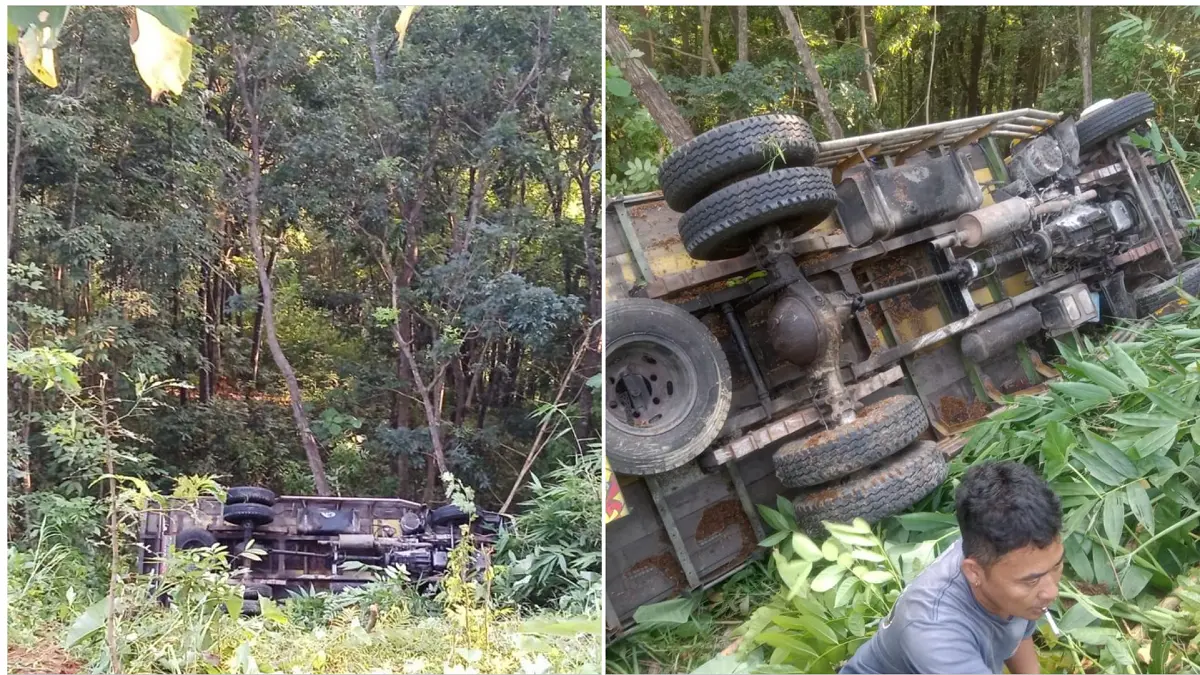 Rem Blong, Truk Muat 3 Kuda Terjun ke Jurang 8 Meter di Ampel Boyolali, Sopir Suyanto Tewas di Tempat