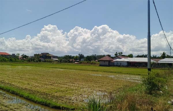 Cuaca Sumatera Barat Didominasi Berawan, Hujan Ringan hingga Lebat Diprakirakan Guyur Pesisir Selatan dan Sejumlah Daerah Lain