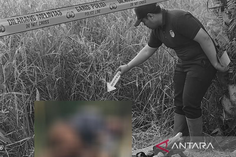 Pria Paruh Baya di Kapuas Ditemukan Tewas saat Mancing di Persawahan, Rekan Syok Lihat Korban Tergeletak