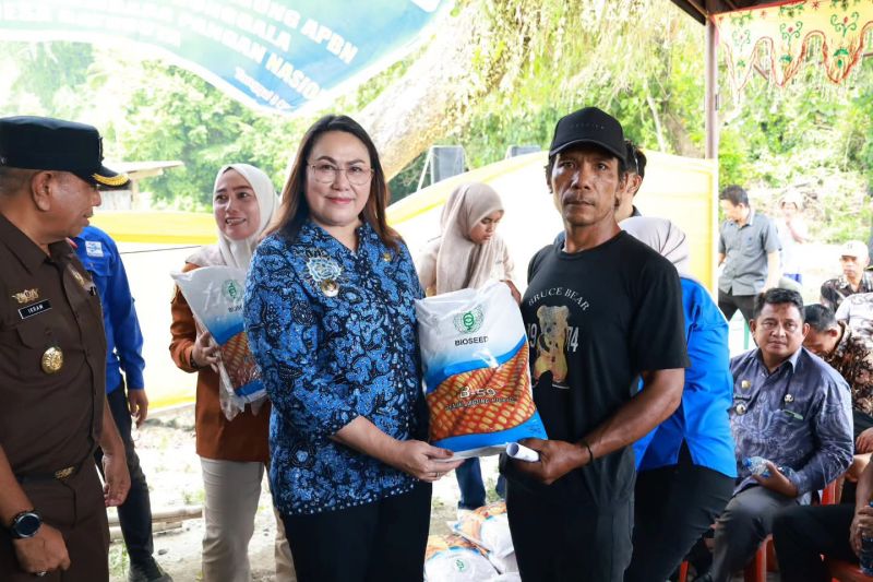 Pemkab Donggala Salurkan 45 Ton Benih Jagung Biosed 59 ke 9 Kecamatan, Sindue Tombusabora Terbanyak