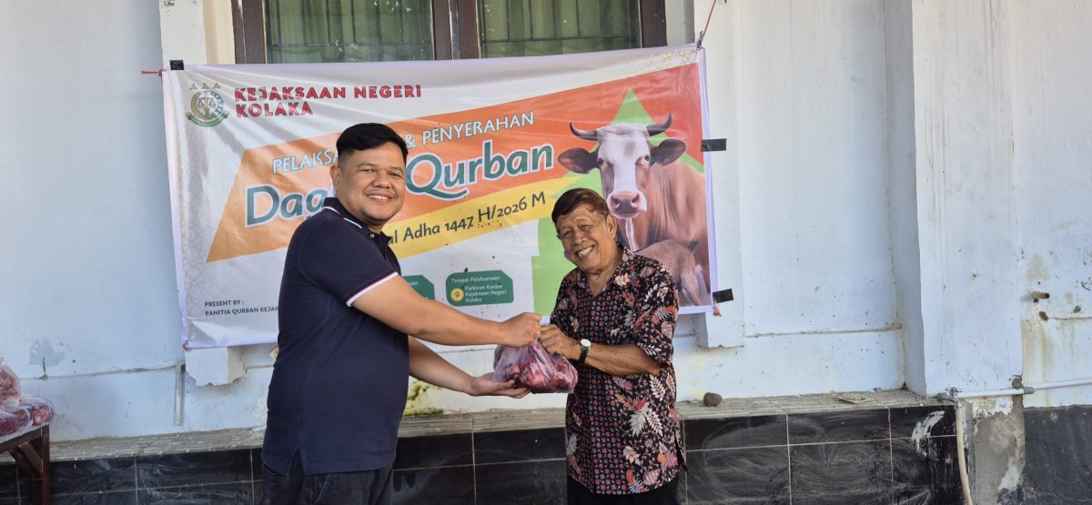 Kejari Kolaka Sembelih 8 Sapi dan 2 Kambing untuk Kurban Idul Adha, 445 Kantong Daging Dibagikan ke Warga dan Panti Asuhan