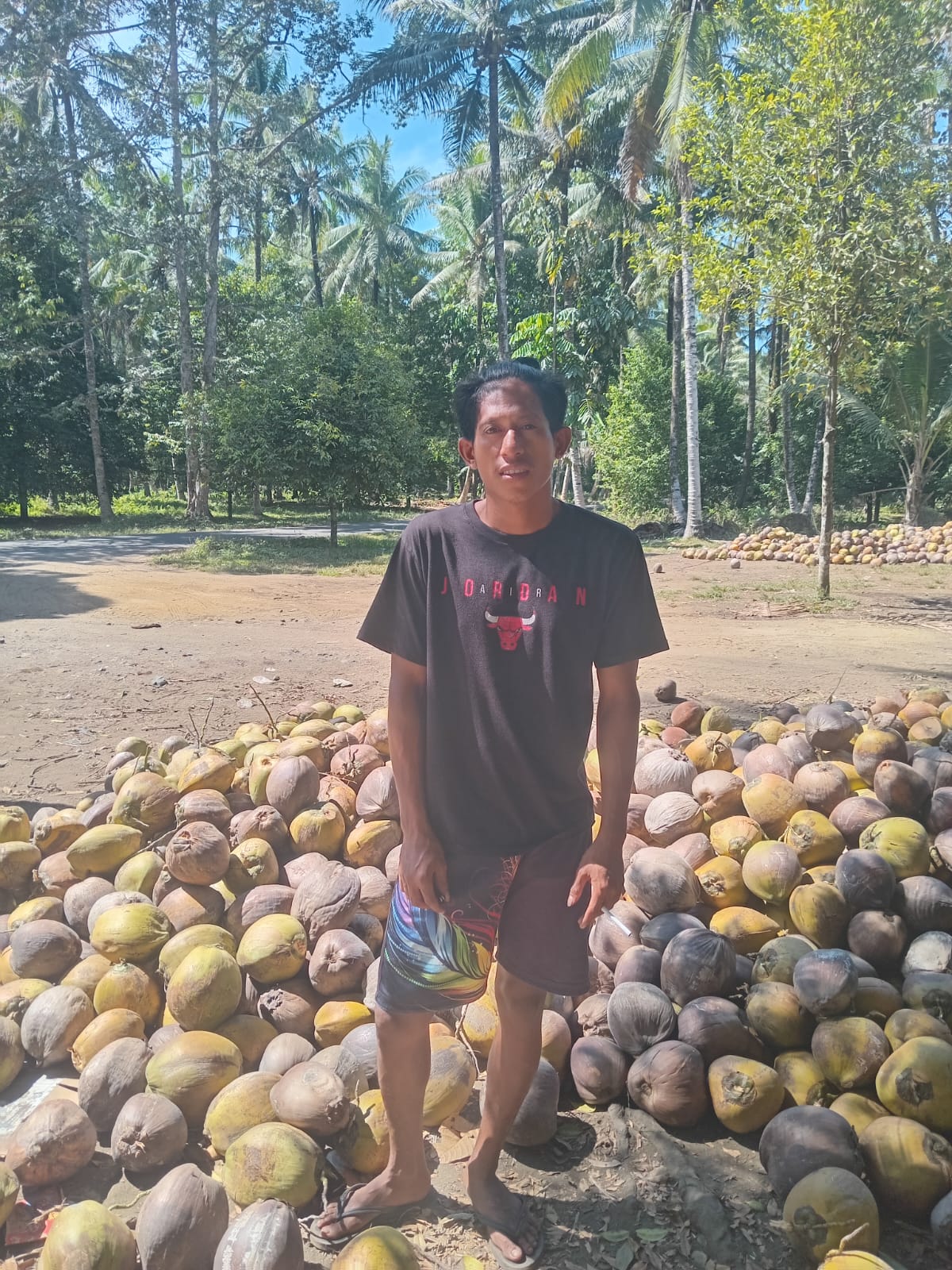 Petani Kelapa Halmahera Utara Akui Kehadiran PT NICO Ringankan Biaya Panen, Ekonomi Warga Tobelo-Galela Terbantu