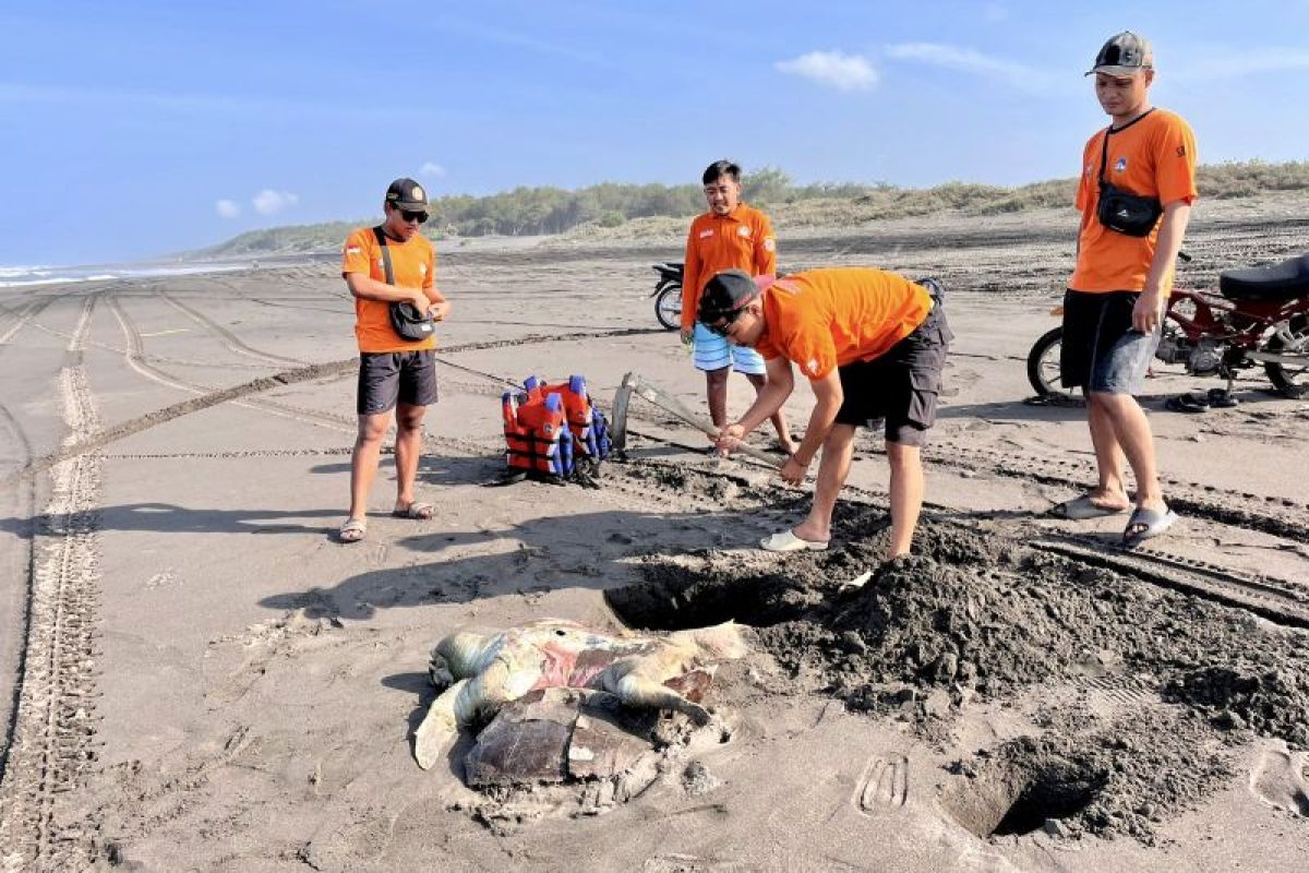 Pemkab Bantul Beri Kalurahan Parangtritis Jatah 30 Persen Retribusi, Titik Pungut Pindah ke 10 Akses Pantai