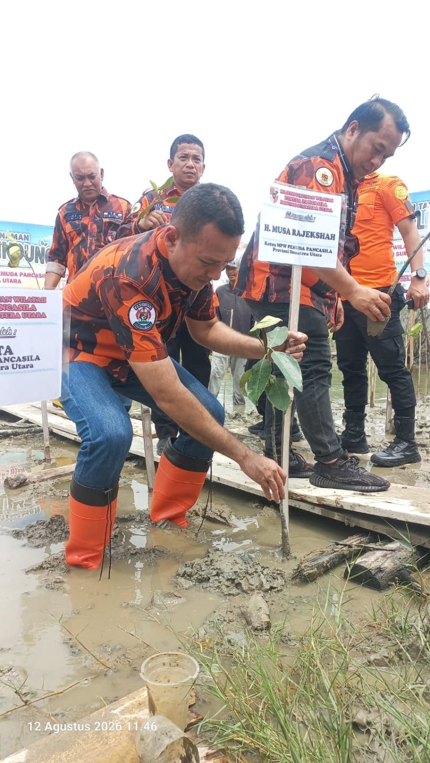 Ijeck Tanam Mangrove di Pantai Romantis Sergai, Minta Basarnas Latih Kader Pemuda Pancasila SAR hingga Basis Bawah