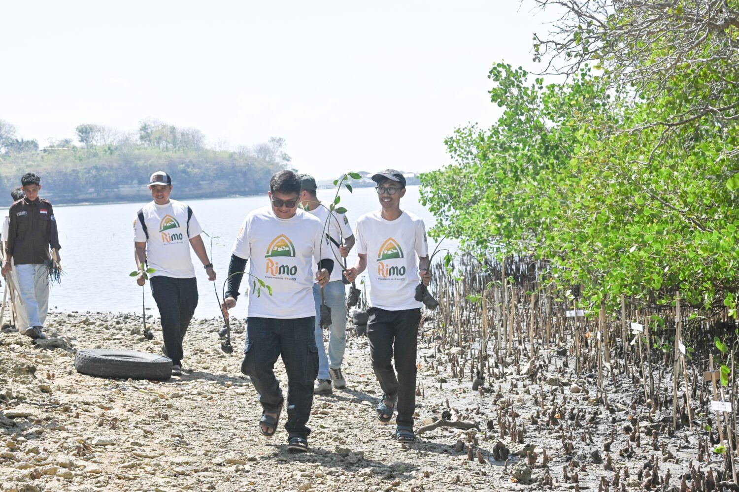 Bank NTB Syariah Tanam 1.000 Bibit Mangrove di Ekowisata Paremas Lombok Timur, Peringati HUT ke-62