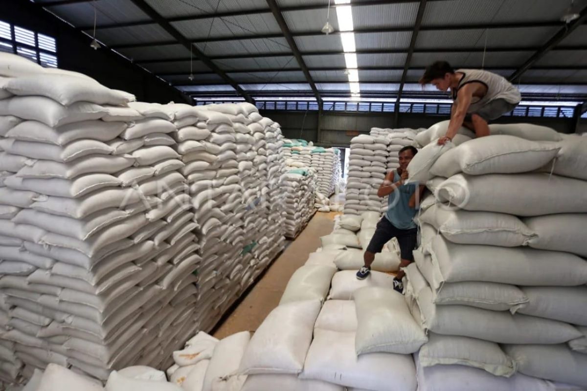Bulog Sumut Salurkan 720 Ton Jagung SPHP ke Peternak Ayam di Deli Serdang, Langkat, dan Binjai