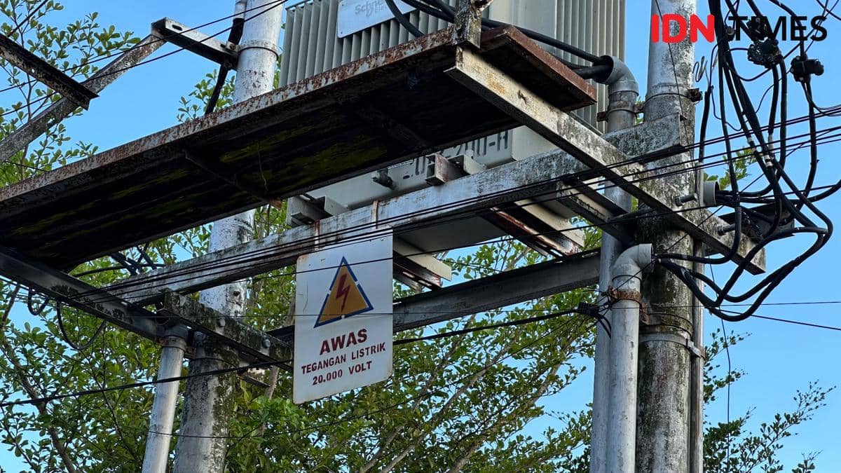 Buruh Tani 70 Tahun di Bantul Tewas Tersetrum Listrik PLN Saat Potong Ranting untuk Pakan Ternak
