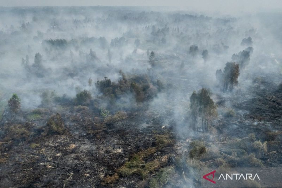 Karhutla Kalsel Capai 12.339 Hektare hingga Awal September, Banjarbaru Catat Kejadian Terbanyak