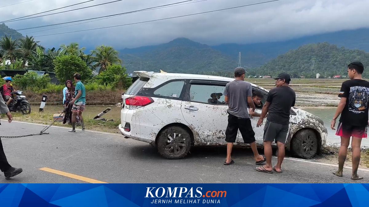 Kecelakaan di Polewali Mandar, Satu Keluarga Selamat Usai Mobil Terjun ke Sawah di Jalur Trans Sulawesi