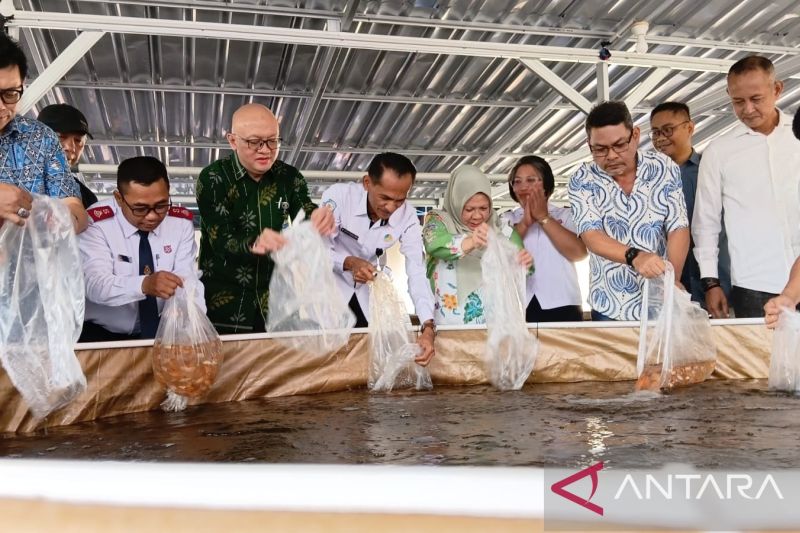 DKP Sulteng Tebar 4.000 Benih Nila Merah di Sigi, Bidik Panen 3-4 Bulan untuk Tekan Inflasi Ikan Laut