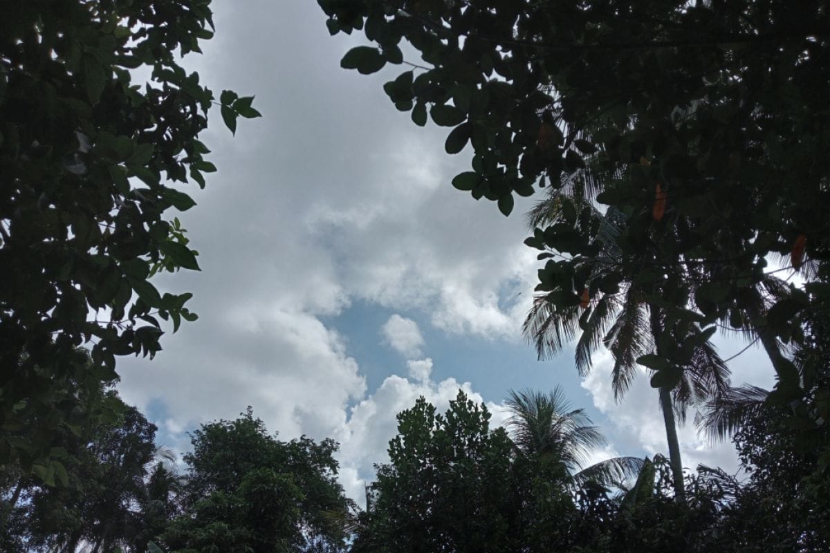 Prakiraan Cuaca Jambi Hari Ini: Kota Jambi Cerah Berawan, Sejumlah Wilayah Berpotensi Hujan Ringan, Suhu 24-32°C