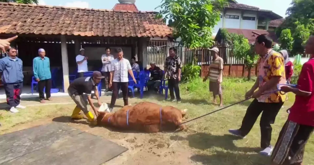 Jelang Idul Adha, Pemkab Kendal Latih 30 Juru Sembelih Kurban dari 20 Kecamatan soal Standar Halal dan Higienis