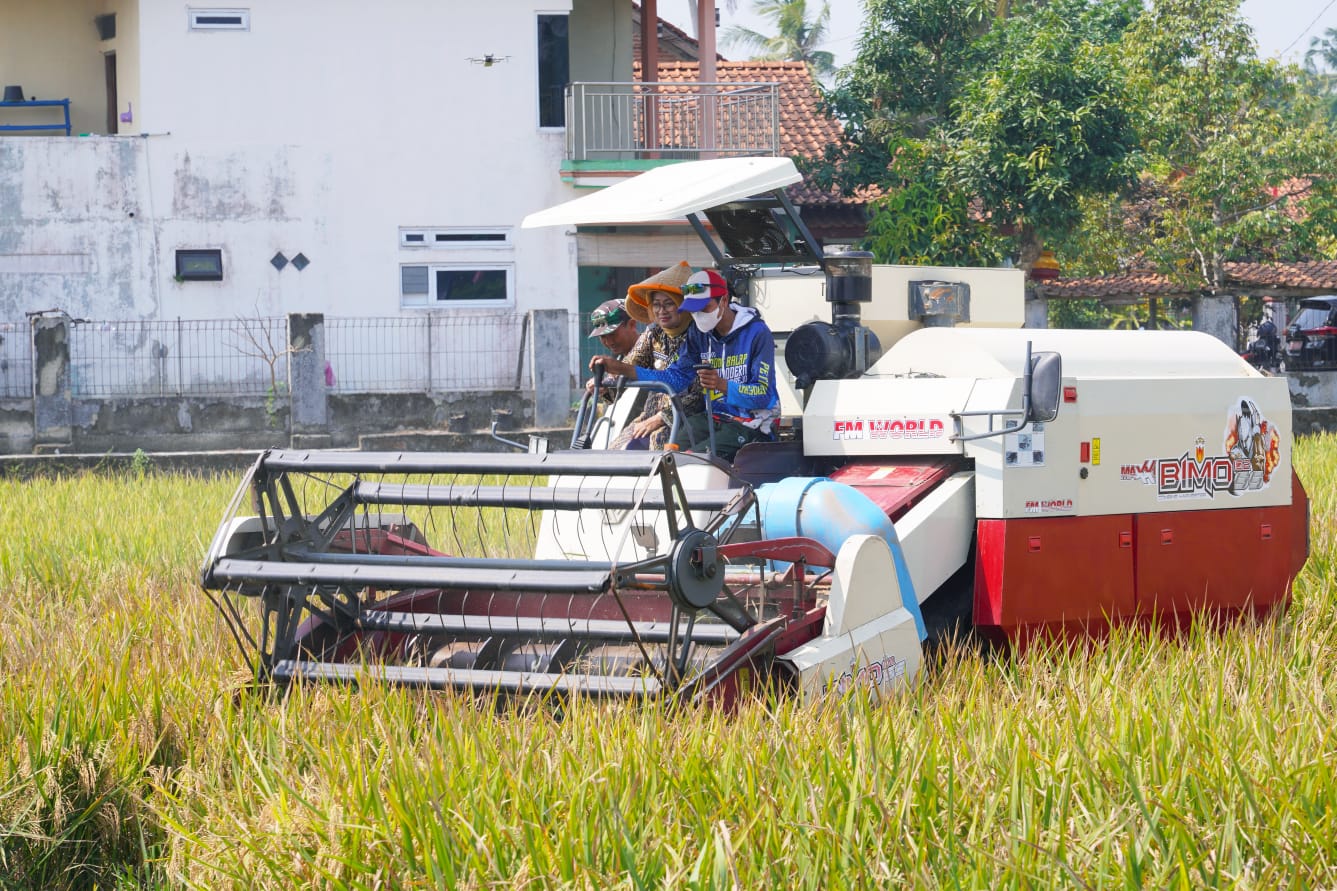 Bupati Kebumen Panen Raya Padi 7,5 Ton per Hektare di Bumirejo Puring, Dorong Petani Beralih ke Mesin Modern