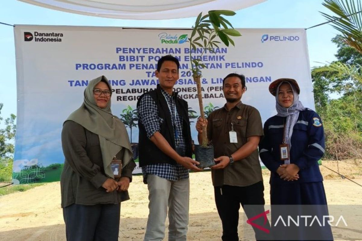 Pelindo Pangkalbalam Tanam 650 Pohon Endemik Bangka di Taman Dealova, Target Teduhkan Kawasan hingga 10 Tahun