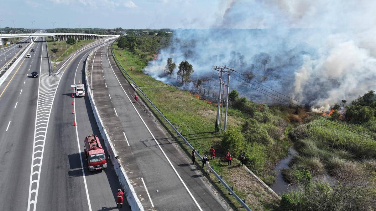 Karhutla di Ogan Ilir Hanguskan 19 Hektare Lahan, Asap Nyaris Kepung Gerbang Tol Palindra