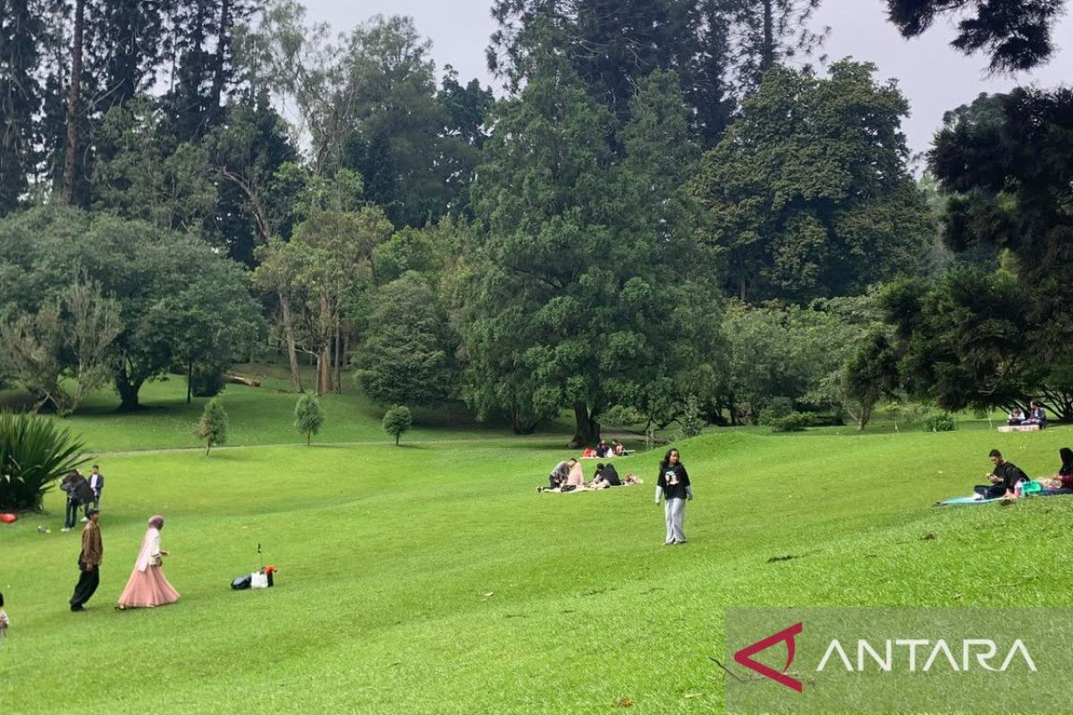 Kunjungan ke Kebun Raya Cibodas Naik 30 Persen Selama Libur Sekolah, Wisatawan Lokal Dominasi