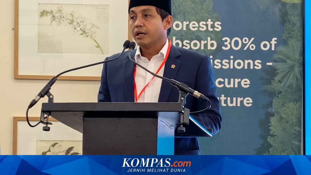 Menteri Kehutanan Siapkan Kawasan Preservasi 87.000 Hektare untuk Orangutan di Kalimantan Timur, Libatkan Perusahaan Tambang